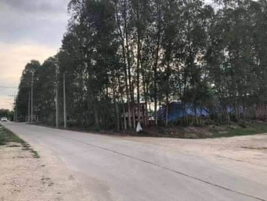 ขายที่ดินสวย ใกล้นิคมอมตะนคร ชลบุรี เนื้อที่ 9 ไร่ หนองตำลึง พานทอง ชลบุรี เหมาะทำบ้านจัดสรร โรงงาน โกดัง รูปที่ 5