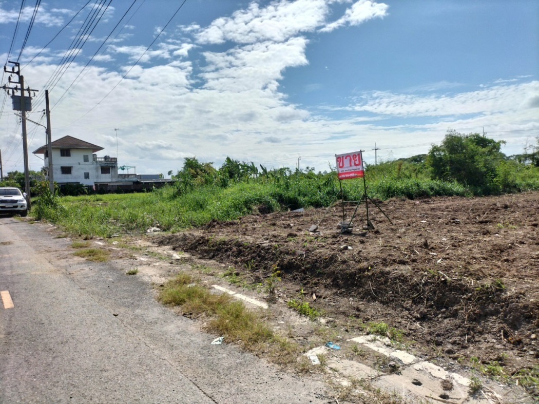 ขาย ที่ดิน ถมแล้ว ที่ดินชอยปลาหมึก บางบัวทอง 99 ตร.วา ติดถนนคอนกรีตหน้า-หลัง รูปที่ 5