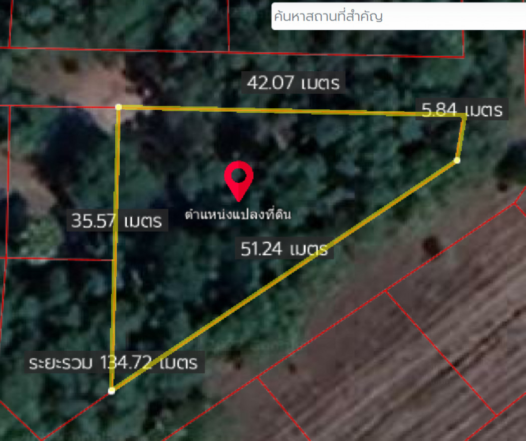 ขายที่ดินราคาถูกมาก บรรยากาศดี ใกล้โรงเรียนบ้านว่านบ้านด่าน เนื้อที่ 192 ตรว บุฝ้าย ประจันตคาม ปราจีนบุรี รูปที่ 1