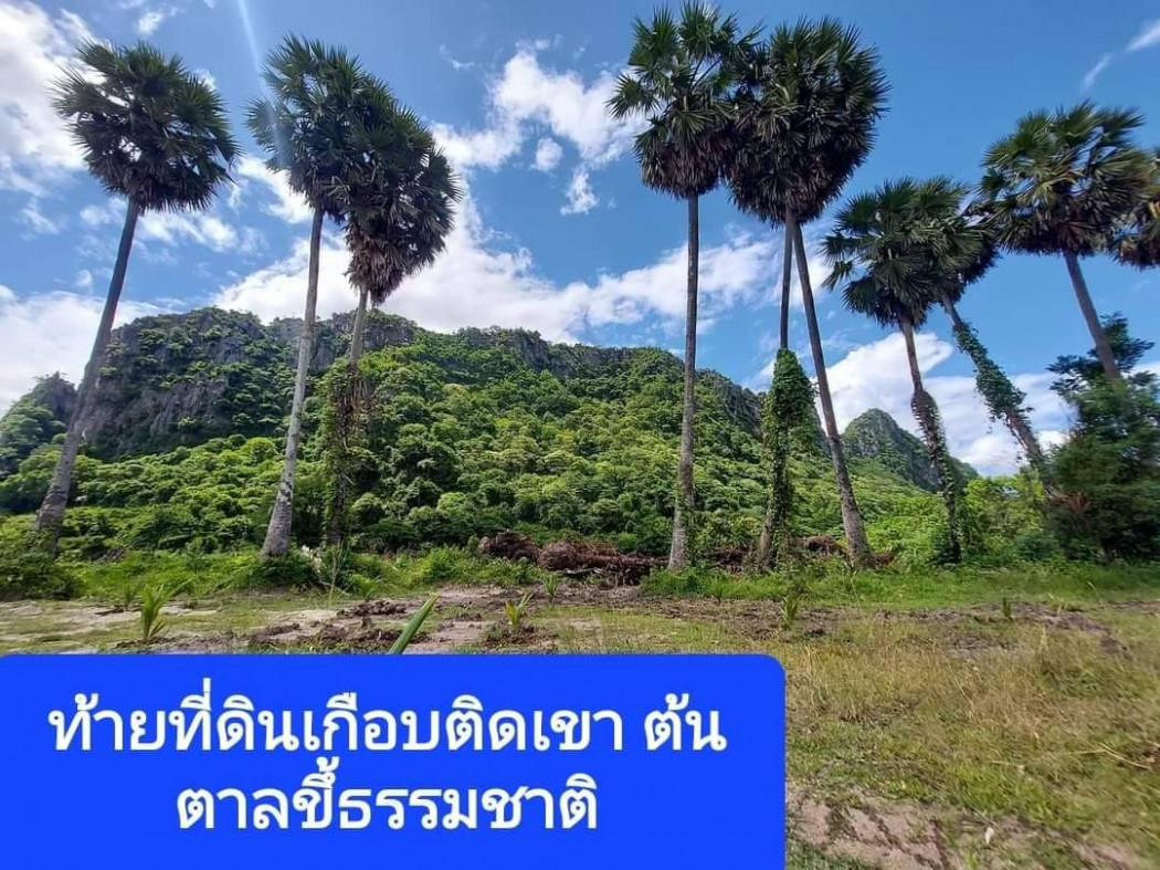 ขายที่ดินสวย เห็นวิวภูเขาสวย เนื้อที่ 8 ไร่ 71 ตรว หนองกระทุ่ม ปากท่อ ราชบุรี เหมาะปลูกบ้านสวน รีสอร์ท การเกษตร รูปที่ 3