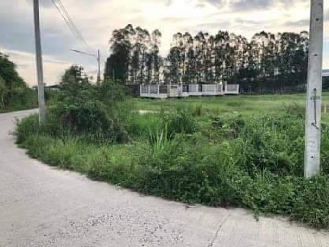 ขายที่ดินสวย ใกล้นิคมอมตะนคร ชลบุรี เนื้อที่ 9 ไร่ หนองตำลึง พานทอง ชลบุรี เหมาะทำบ้านจัดสรร โรงงาน โกดัง รูปที่ 3
