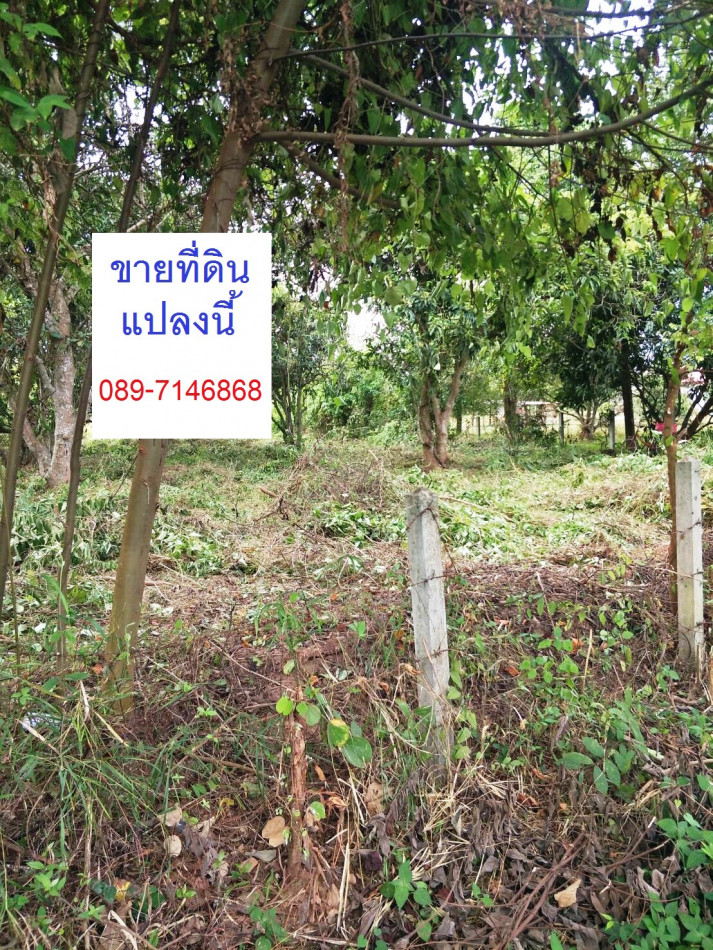 ขาย ที่ดิน ใกล้ถนนมิตรภาพอุดร-หนองคาย เพียง 500 ม.  2 ไร่ 91.7 ตร.วา รูปที่ 1