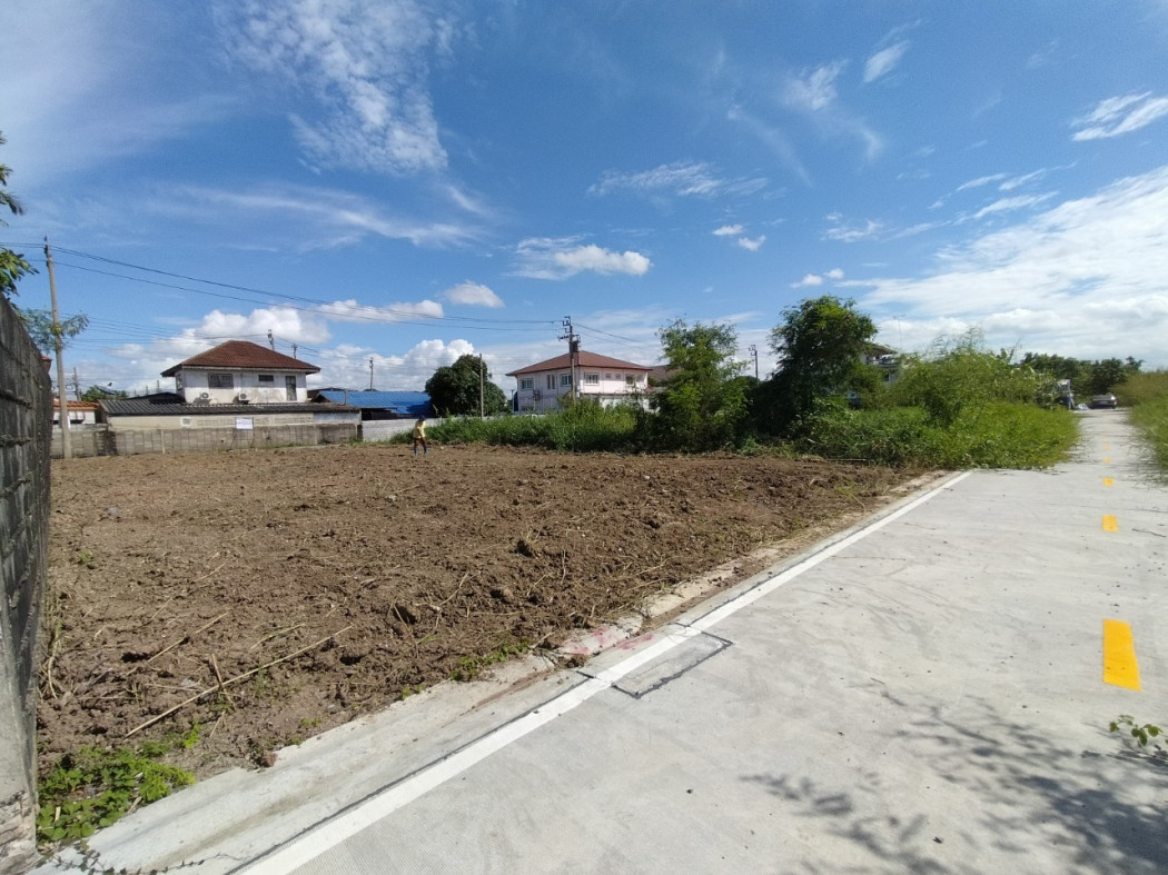 ขาย ที่ดิน ถมแล้ว ที่ดินชอยปลาหมึก บางบัวทอง 99 ตร.วา ติดถนนคอนกรีตหน้า-หลัง รูปที่ 3