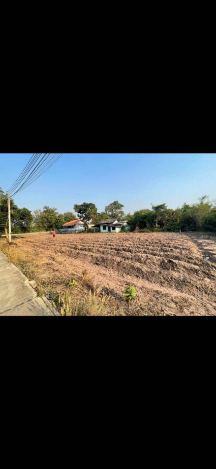ขายที่ดินเนื้อที่ 80 ตรว หินกอง เมืองราชบุรี มีให้เลือก 2 แปลง เหมาะปลูกบ้าน รูปที่ 4