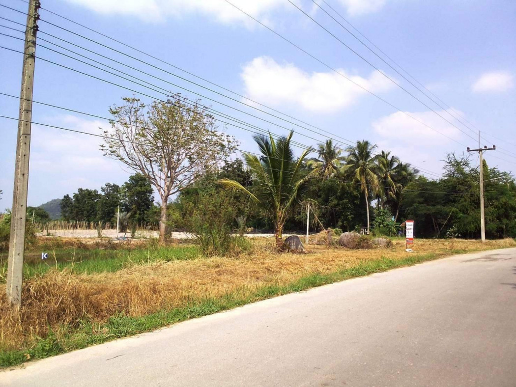 ขายที่ดินสวนผึ้ง ราชบุรี เนื้อที่ 25 ไร่ เหมาะทำบ้านสวน รีสอร์ท ที่ดินแบ่งขาย รูปที่ 3