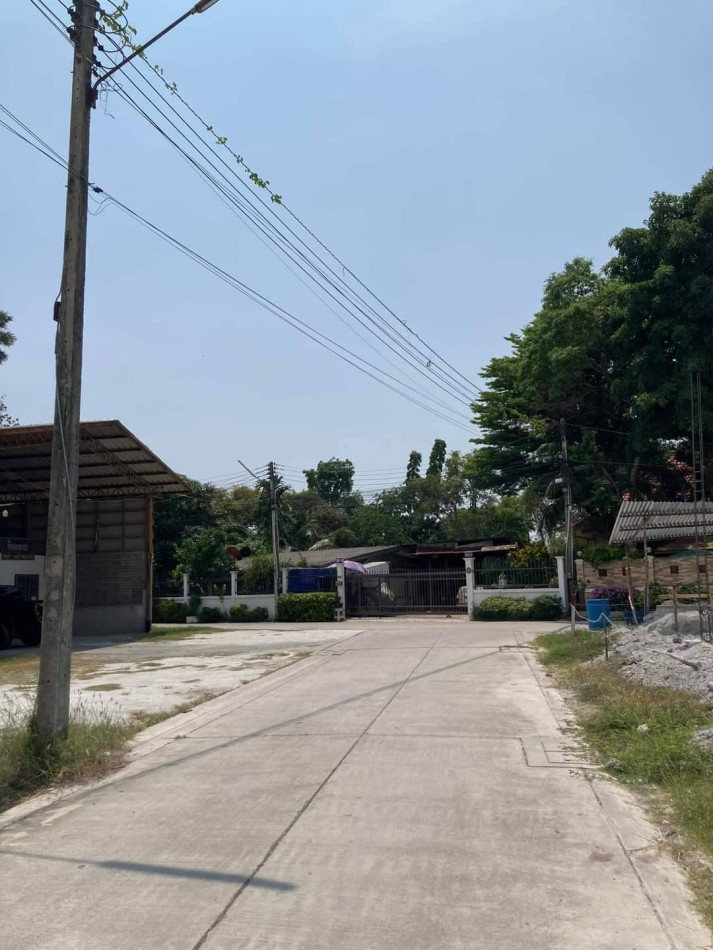 ขายที่ดินสวยทำเลดีมาก ใกล้โรงพยาบาลเอกชล 2 เนื้อที่ 50 ตรว เสม็ด เมืองชลบุรี เหมาะปลูกบ้าน รูปที่ 3