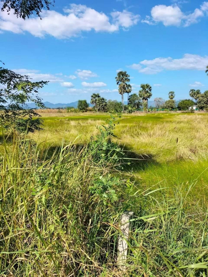 ขายที่ดินสวยบรรยากาศดีราคาถูก ใกล้อบต.ท่าทราย เนื้อที่ 1 ไร่ เหมาะปลูกบ้านสวน ทำการเกษตร รูปที่ 2