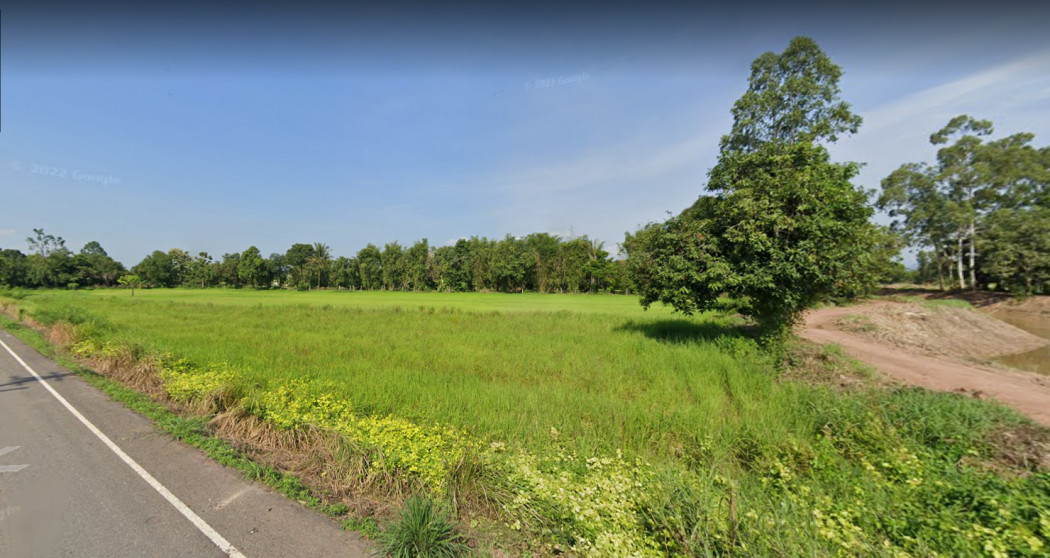 ขายที่ดินสวยติดคลอง ใกล้ตัวเมืองนครนายก หน้ากว้าง 86 เมตร เนื้อที่ 363 ตรว หนองแสง ปากพลี นครนายก รูปที่ 6