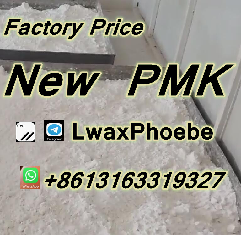 PMK Factory Sell 80% yield PMK Powder with special line to Netherlands Wickr:LwaxPhoebe รูปที่ 1
