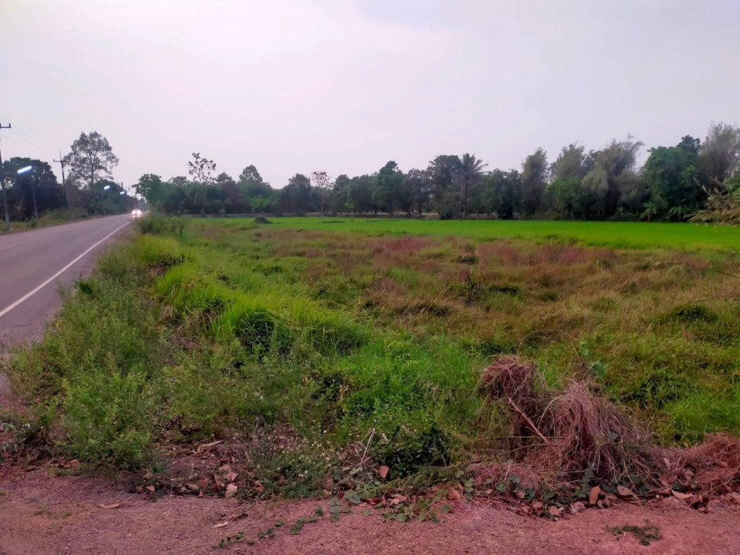 ขายที่ดินสวยติดคลอง ใกล้ตัวเมืองนครนายก หน้ากว้าง 86 เมตร เนื้อที่ 363 ตรว หนองแสง ปากพลี นครนายก รูปที่ 3