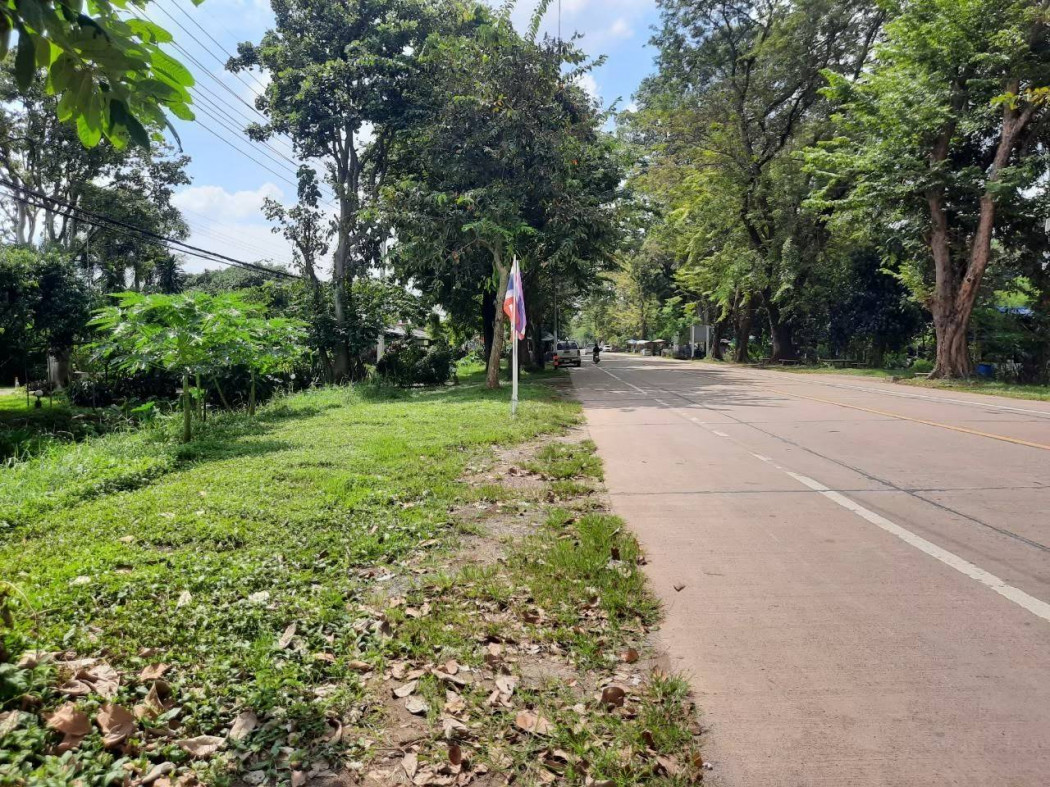 ขายที่ดินสวยใกล้โรงเรียน.จปร เนื้อที่ 1 ไร่ พรหมณี เมืองนครนายก เหมาะปลูกบ้าน ร้านอาหาร&ร้านกาแฟ รูปที่ 5
