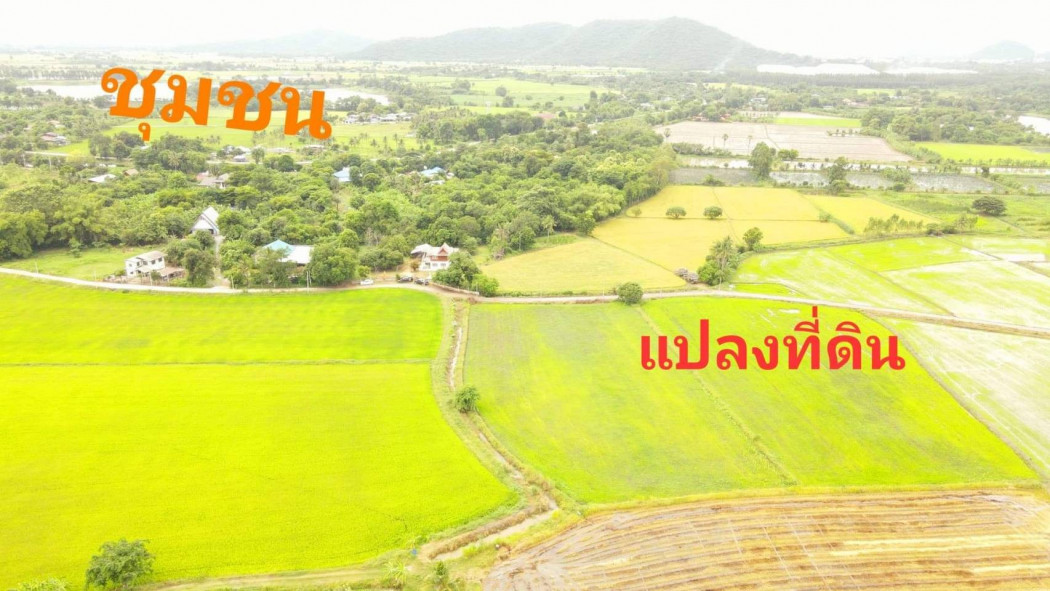 ที่ดินแบ่งขายราคาถูก ใกล้อบต.เดิมบาง สุพรรณบุรี เนื้อที่ 4 ไร่ 2 งาน หน้ากว้าง 74 เมตร เหมาะปลูกบ้าน ที่ดินแบ่งขาย รีสอร์ท บ้านสวน การเกษตร รูปที่ 4