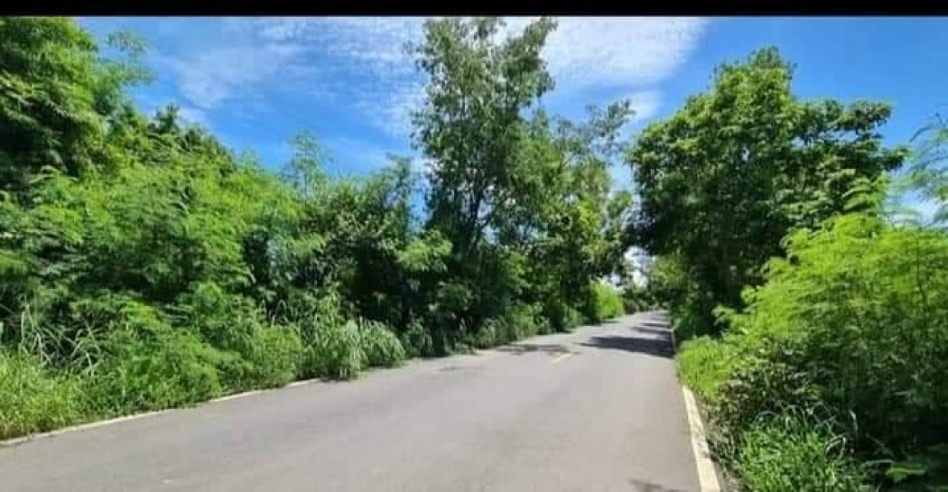 ขายที่ดินสวย เนื้อที่ 350 ตรว บ้านสร้าง ปราจีนบุรี เหมาะปลูกบ้าน รีสอร์ท บ้านสวน ทำการเกษตร รูปที่ 2