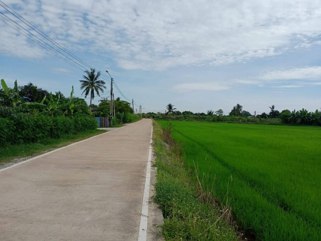 ขายที่ดินสวยใกล้ตัวเมืองฉะเชิงเทรา หน้ากว้าง 140 เมตร เนื้อที่ 4 ไร่ ท่าไข่ เมืองฉะเชิงเทรา เหมาะปลูกบ้าน รีสอร์ท รูปที่ 4