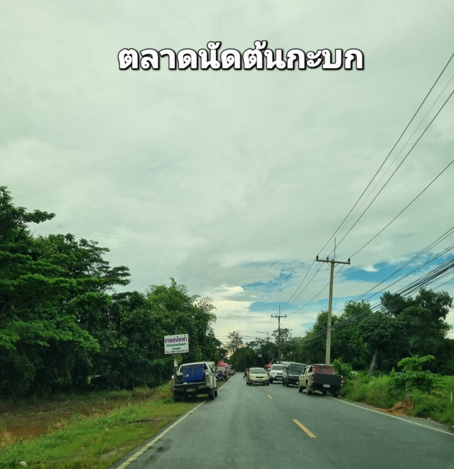 ที่ดินแบ่งขาย เนื้อที่ 14 ไร่ พรหมณี เมืองนครนายก เหมาะปลูกบ้าน รีสอร์ท ร้านอาหาร&ร้านกาแฟ รูปที่ 2