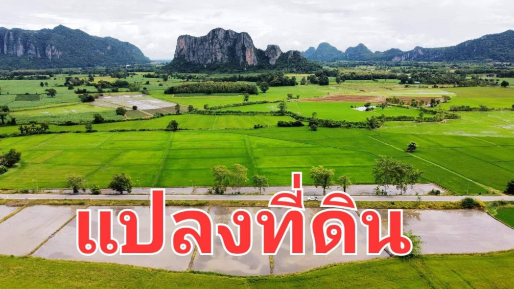 ที่ดินสวยแบ่งขาย บรรยากาศดีสุดๆ เนื้อที่ 7 ไร่ หนองฉาง อุทัยธานี หน้ากว้าง 275 เมตร เหมาะปลูกบ้าน รีสอร์ท รูปที่ 1