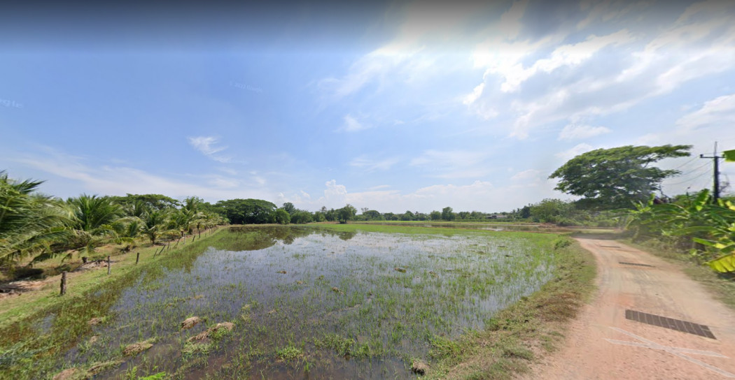 ขายที่ดินสวยใกล้ตัวเมืองราชบุรี เนื้อที่ 4 ไร่ คูบัว เมืองราชบุรี เหมาะปลูกบ้านขาย ที่ดินแบ่งขาย รีสอร์ท ทำการเกษตร รูปที่ 3