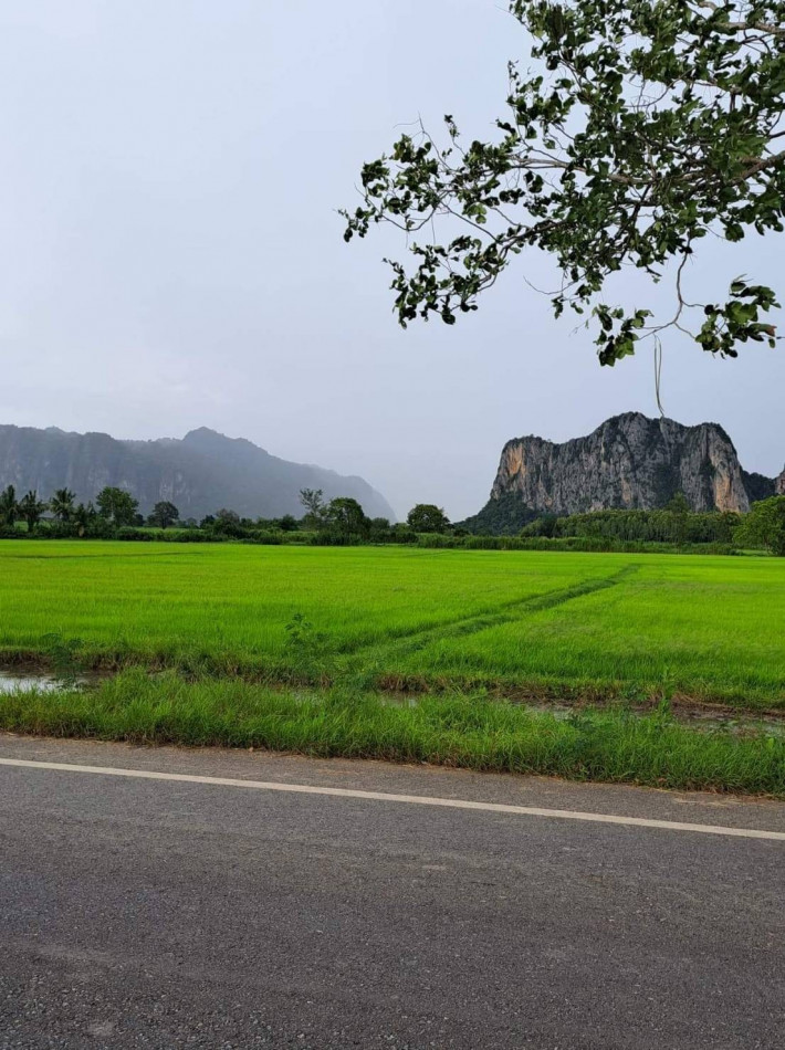 ที่ดินสวยแบ่งขาย บรรยากาศดีสุดๆ เนื้อที่ 7 ไร่ หนองฉาง อุทัยธานี หน้ากว้าง 275 เมตร เหมาะปลูกบ้าน รีสอร์ท รูปที่ 3