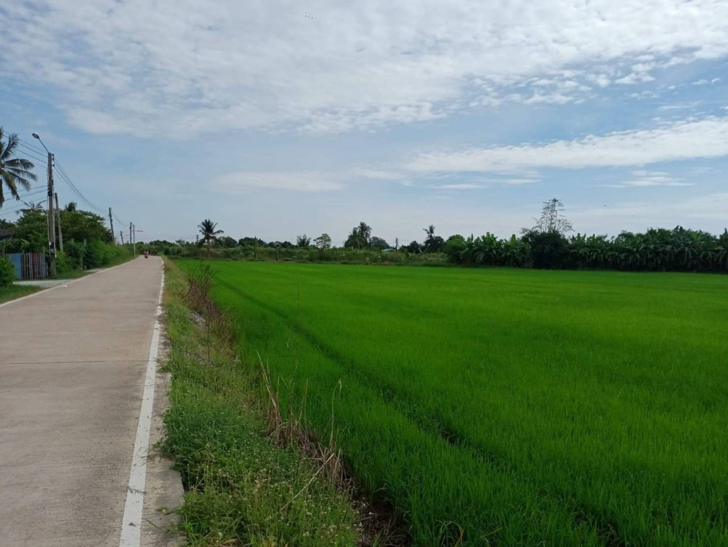 ขายที่ดินสวยใกล้ตัวเมืองฉะเชิงเทรา หน้ากว้าง 140 เมตร เนื้อที่ 4 ไร่ ท่าไข่ เมืองฉะเชิงเทรา เหมาะปลูกบ้าน รีสอร์ท รูปที่ 3