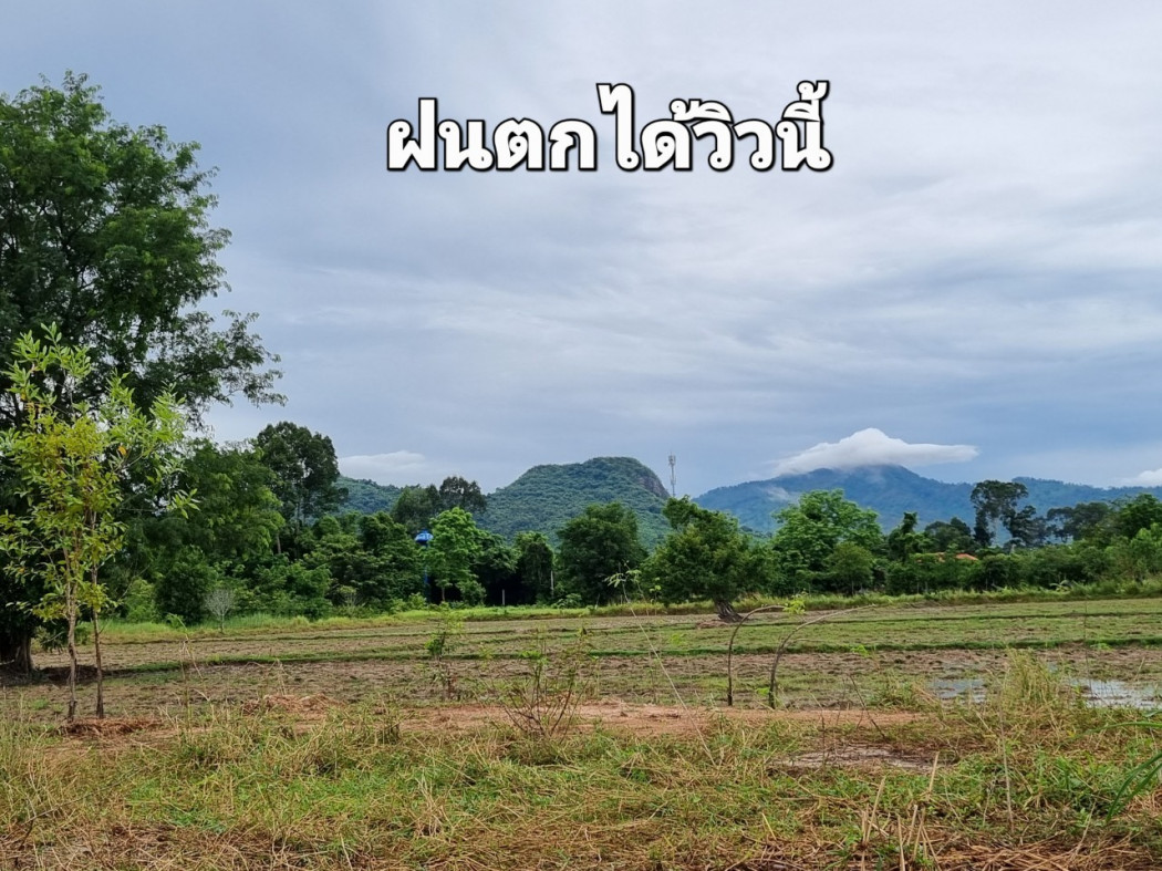 ที่ดินแบ่งขาย เนื้อที่ 14 ไร่ พรหมณี เมืองนครนายก เหมาะปลูกบ้าน รีสอร์ท ร้านอาหาร&ร้านกาแฟ รูปที่ 3