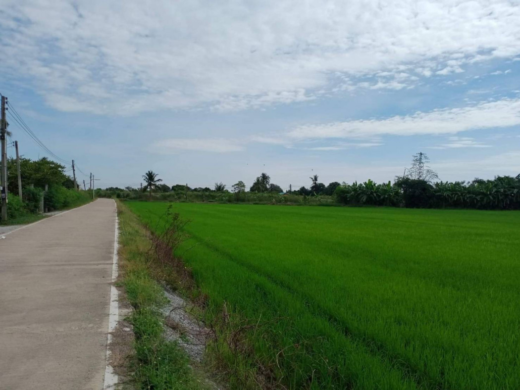ขายที่ดินสวยใกล้ตัวเมืองฉะเชิงเทรา หน้ากว้าง 140 เมตร เนื้อที่ 4 ไร่ ท่าไข่ เมืองฉะเชิงเทรา เหมาะปลูกบ้าน รีสอร์ท รูปที่ 5