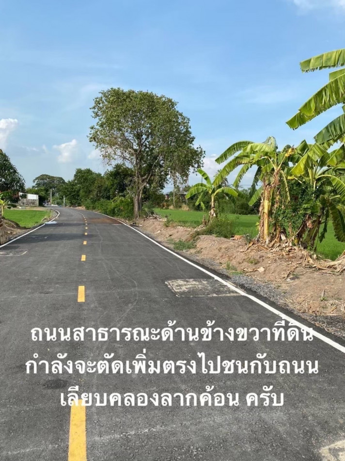 ขาย ที่ดิน บางบัวทอง 33 ไร่ 2 งาน 33 ตร.วา เหมาะทำหมู่บ้านจัดสรร โกดัง โรงงาน รูปที่ 4