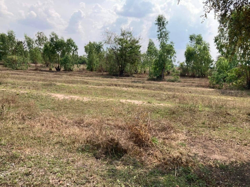 ขายที่ดินราคาถูกมาก ใกล้อบต.หนองนกแก้ว เนื้อที่ 220 ตรว หนองประดู่ เลาขวัญ กาญจนบุรี รูปที่ 2