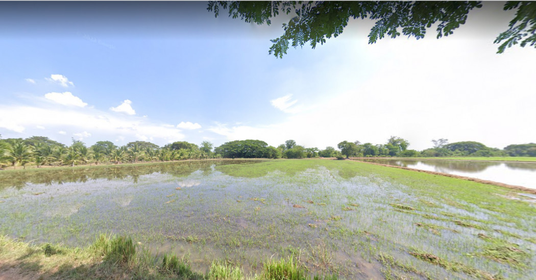 ขายที่ดินสวยใกล้ตัวเมืองราชบุรี เนื้อที่ 4 ไร่ คูบัว เมืองราชบุรี เหมาะปลูกบ้านขาย ที่ดินแบ่งขาย รีสอร์ท ทำการเกษตร รูปที่ 2