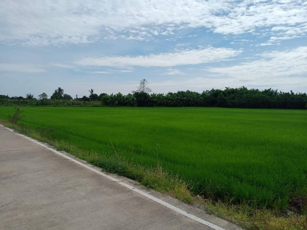 ขายที่ดินสวยใกล้ตัวเมืองฉะเชิงเทรา หน้ากว้าง 140 เมตร เนื้อที่ 4 ไร่ ท่าไข่ เมืองฉะเชิงเทรา เหมาะปลูกบ้าน รีสอร์ท รูปที่ 2