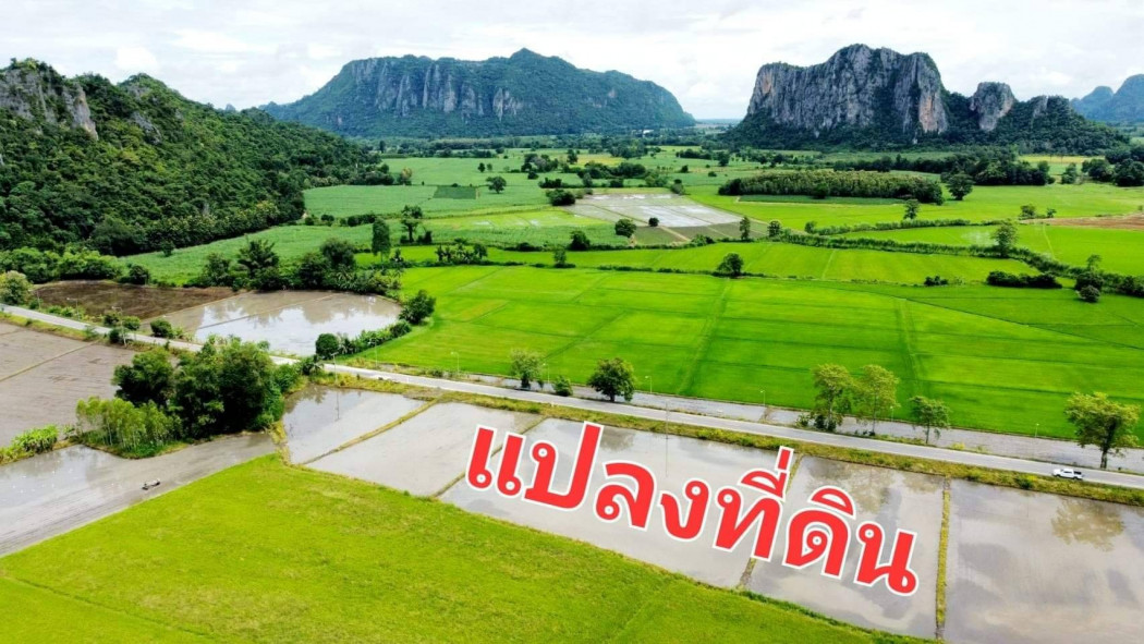 ที่ดินสวยแบ่งขาย บรรยากาศดีสุดๆ เนื้อที่ 7 ไร่ หนองฉาง อุทัยธานี หน้ากว้าง 275 เมตร เหมาะปลูกบ้าน รีสอร์ท รูปที่ 2