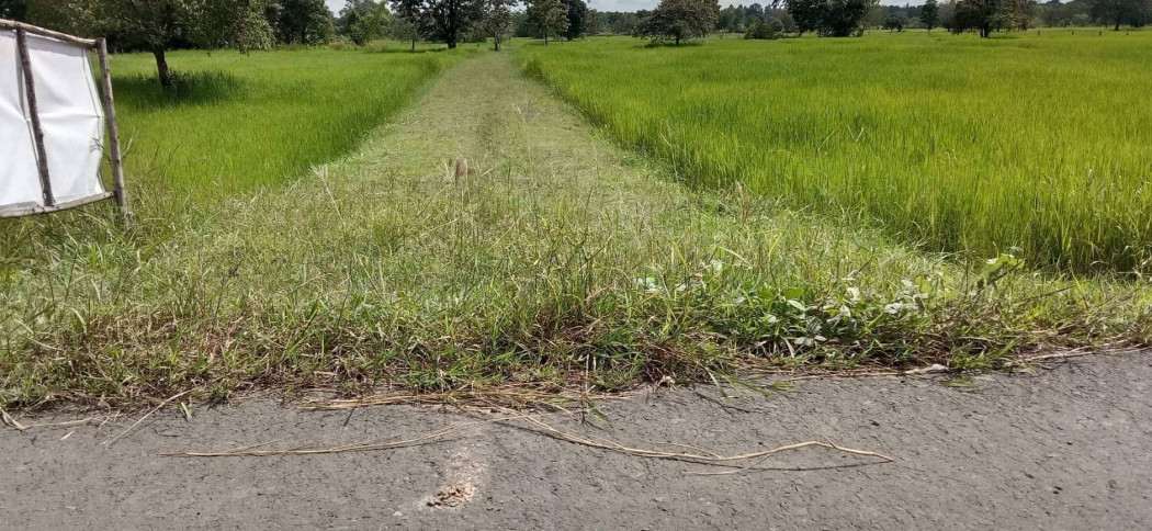 ขายที่ดินสวยทำเลดีมาก ราคาถูก ใกล้ตัวเมืองบุรีรัมย์ เนื้อที่ 20 ไร่ ลำปลายมาศ เหมาะทำจัดสรร ที่ดินแบ่งขาย โกดัง โรงงาน รูปที่ 4