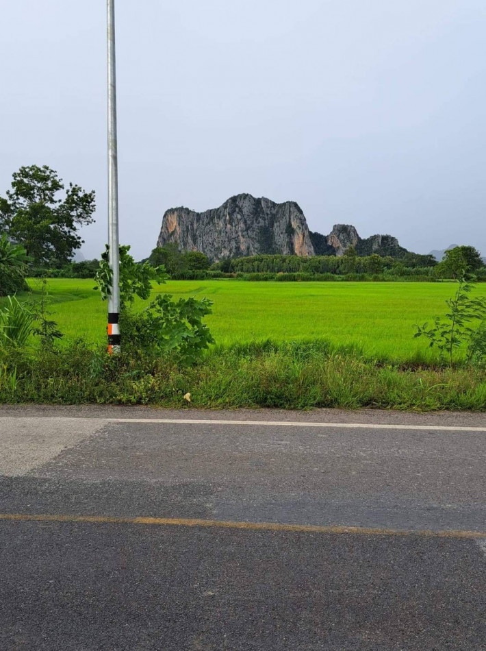 ที่ดินสวยแบ่งขาย บรรยากาศดีสุดๆ เนื้อที่ 7 ไร่ หนองฉาง อุทัยธานี หน้ากว้าง 275 เมตร เหมาะปลูกบ้าน รีสอร์ท รูปที่ 4