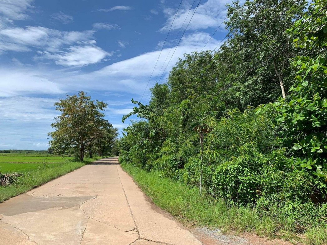 ขายที่ดินสวยทำเลดี ติดถนนคอนกรีต 2 ด้าน เนื้อที่ 2 ไร่ เมืองตราด เหมาะปลูกบ้านพักอาศัย รีสอร์ท ปลูกบ้านขาย ที่ดินแบ่งขาย การเกษตร รูปที่ 4
