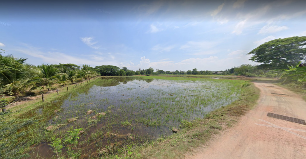 ขายที่ดินสวยใกล้ตัวเมืองราชบุรี เนื้อที่ 4 ไร่ คูบัว เมืองราชบุรี เหมาะปลูกบ้านขาย ที่ดินแบ่งขาย รีสอร์ท ทำการเกษตร รูปที่ 4