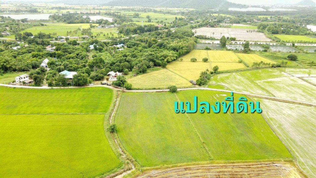 ที่ดินแบ่งขายราคาถูก ใกล้อบต.เดิมบาง สุพรรณบุรี เนื้อที่ 4 ไร่ 2 งาน หน้ากว้าง 74 เมตร เหมาะปลูกบ้าน ที่ดินแบ่งขาย รีสอร์ท บ้านสวน การเกษตร รูปที่ 3