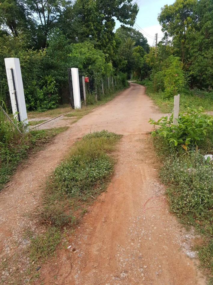 ขายที่ดินสวยถมแล้ว ใกล้แม่น้ำป่าสัก เริ่มต้นที่ 84 ตรว เฉลิมพระเกียรติ สระบุรี เหมาะปลูกบ้านพักอาศัย รูปที่ 6