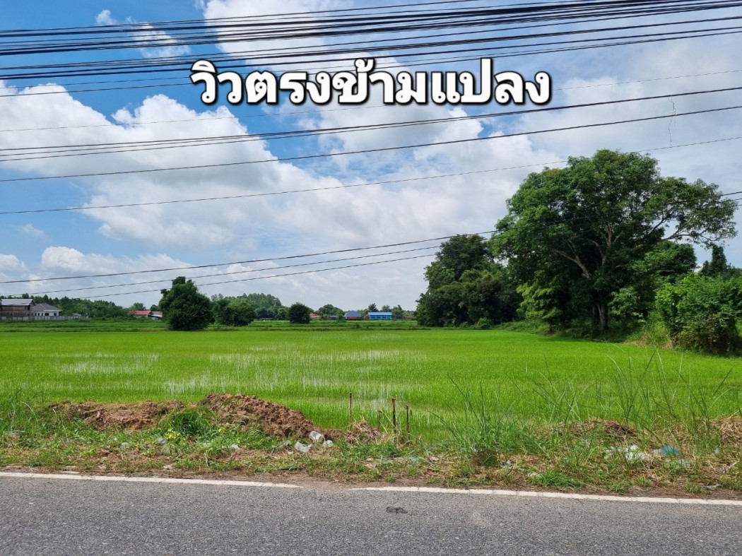 ที่ดินแบ่งขาย เนื้อที่ 14 ไร่ พรหมณี เมืองนครนายก เหมาะปลูกบ้าน รีสอร์ท ร้านอาหาร&ร้านกาแฟ รูปที่ 5