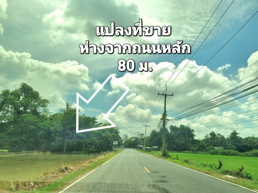 ที่ดินแบ่งขาย เนื้อที่ 14 ไร่ พรหมณี เมืองนครนายก เหมาะปลูกบ้าน รีสอร์ท ร้านอาหาร&ร้านกาแฟ รูปที่ 6