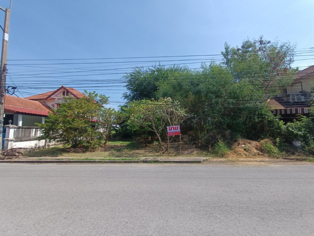 ขาย ที่ดิน ที่ดินจัดสรร ที่ดินเปล่าโครงการ4 หมู่บ้านร่มรื่นการ์เด้นวิล 82.7 ตร.วา ตรงชอยโครงการ รูปที่ 2