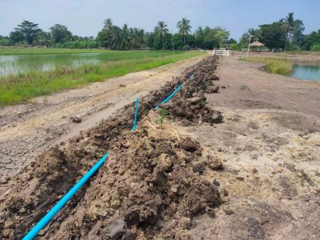 ขาย ที่ดิน วิวทุ่งนาสุดตา มีน้ำ-ไฟ ทุกแปลงบางเลน 200 ตร.วา ถนนโครงการกว้าง 6 เมตร
ลูกลังบดอัด ท๊อปด้วยหินคลุก รูปที่ 3