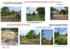 รูปย่อ ขายบ้าน และ สวนผลไม้ 10 ไร่ ติดถนน3 ด้าน และ ห่างถนนหลวง 1 กม อ.เมือง จ.ปราจีนบุรี รูปที่5