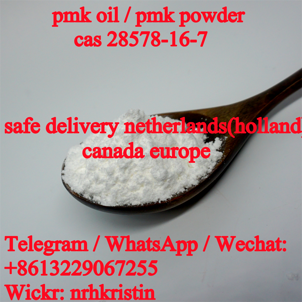 pmk powder nl uk usa canada pmk methyl glycidate supply pmk wax EU Warehouse  รูปที่ 1