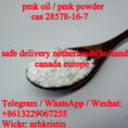 pmk powder nl uk usa canada pmk methyl glycidate supply pmk wax EU Warehouse 
