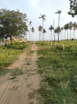 ขาย ที่ดิน ด้านหน้าติดทะเล ด้านหลังติดถนนเส้นหลัก 4020กุยบุรี 1 ไร่ ใกล้อุทยานแห่งชาติเขาสามร้อยยอด รูปที่ 3
