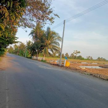 ขาย ที่ดิน วิวทุ่งนาสุดตา มีน้ำ-ไฟ ทุกแปลงบางเลน 200 ตร.วา ถนนโครงการกว้าง 6 เมตร
ลูกลังบดอัด ท๊อปด้วยหินคลุก รูปที่ 2