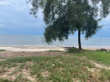 ขาย ที่ดิน โฉนดครุฑแดงกุยบุรี 60 ตร.วา ติดทะเล ไม่มีถนนคั่น หาดทรายสวย รูปที่ 2
