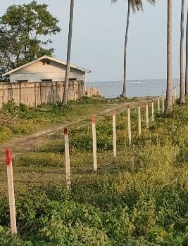 ขาย ที่ดิน ด้านหน้าติดทะเล ด้านหลังติดถนนเส้นหลัก 4020กุยบุรี 1 ไร่ ใกล้อุทยานแห่งชาติเขาสามร้อยยอด รูปที่ 2