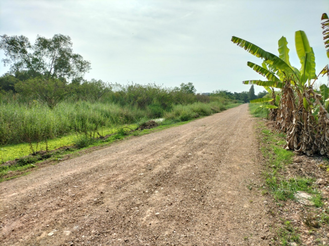 ขาย ที่ดิน ขายถูก ที่ดินเปล่า คลองหก ราชมงคลธัญบุรี 2 ไร่ ห่างจาก ราชมงคลคลองหก 2กิโล. รูปที่ 5