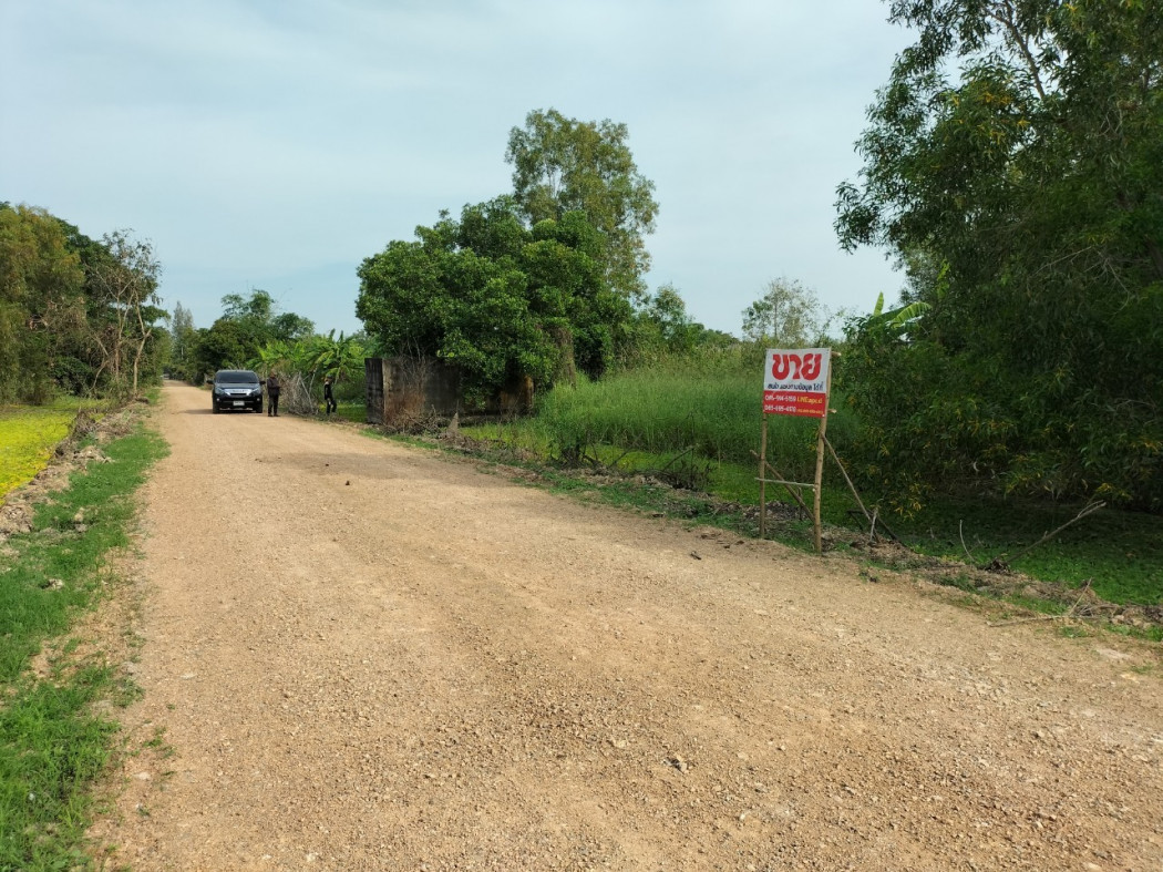 ขาย ที่ดิน ขายถูก ที่ดินเปล่า คลองหก ราชมงคลธัญบุรี 2 ไร่ ห่างจาก ราชมงคลคลองหก 2กิโล. รูปที่ 2