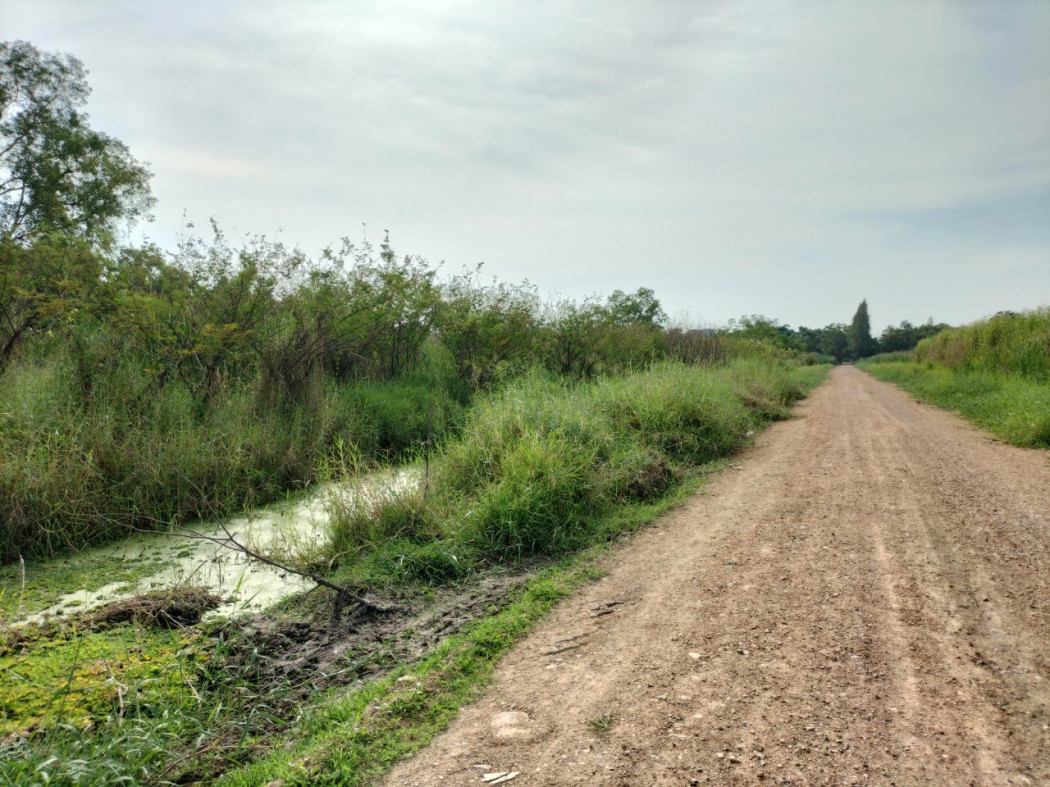 ขาย ที่ดิน ขายถูก ที่ดินเปล่า คลองหก ราชมงคลธัญบุรี 2 ไร่ ห่างจาก ราชมงคลคลองหก 2กิโล. รูปที่ 4